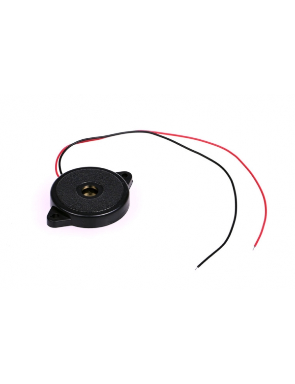 Large Enclosed Piezo Element w/Wires Large Enclosed Piezo Element w/Wires
